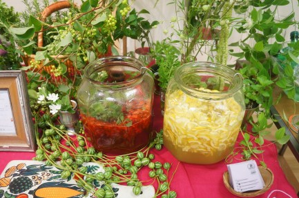 dsc02942-%e3%82%b3%e3%83%94%e3%83%bc